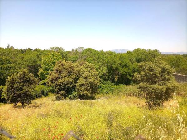 Terreno en calle Faisán