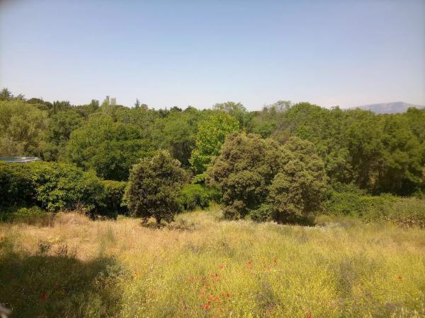 Terreno en calle Faisán