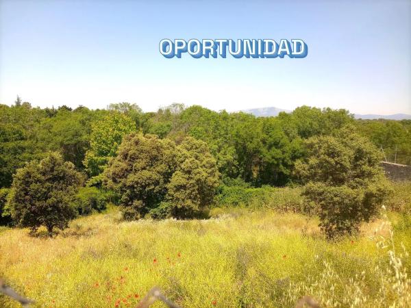 Terreno en calle Faisán