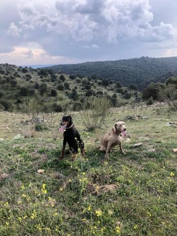 Terreno en los canchos s/n sinnmero
