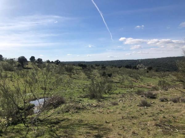 Terreno en Los Canchos s/n