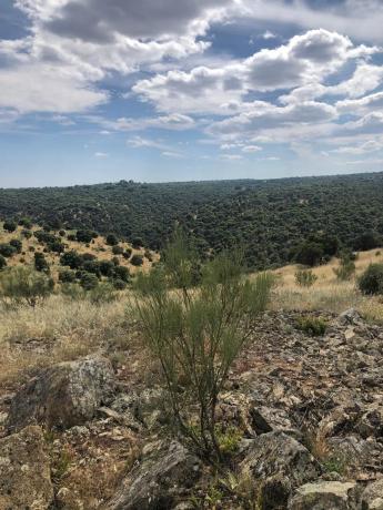 Terreno en Los Canchos s/n