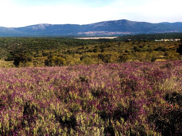 Terreno en Los Canchos s/n