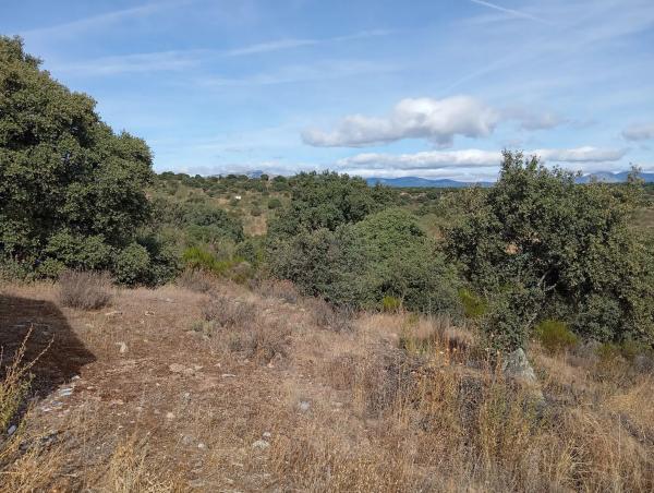 Terreno en Ferrocarril los Quinchos