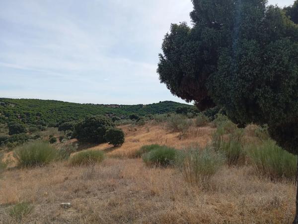 Terreno en Ferrocarril los Quinchos