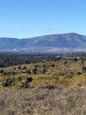 Terreno en Colmenarejo