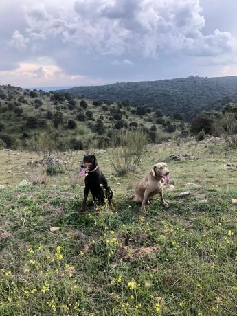 Terreno en Colmenarejo