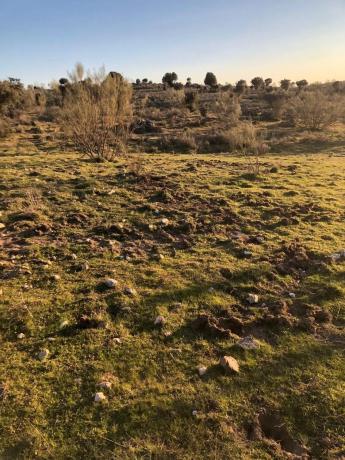 Terreno en Colmenarejo