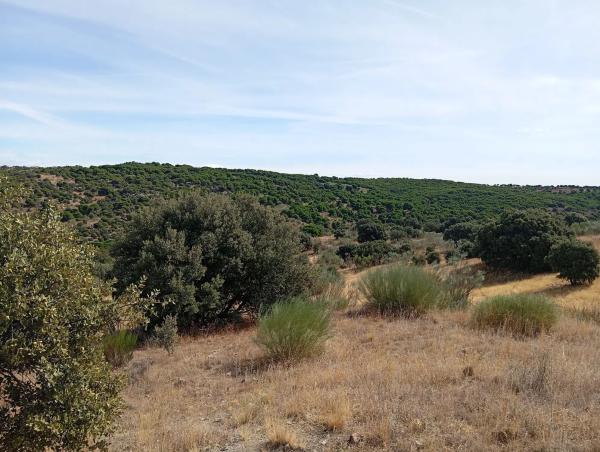 Terreno en Ferrocarril los Quinchos