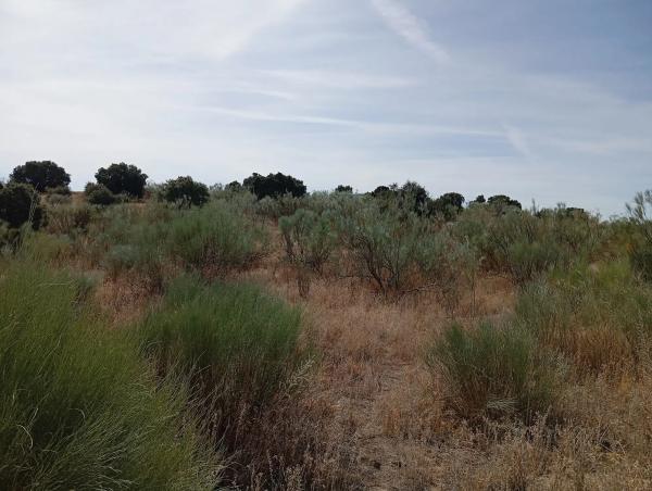 Terreno en Ferrocarril los Quinchos