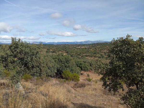 Terreno en Ferrocarril los Quinchos