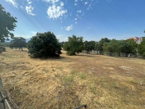 Terreno en calle del Abeto s/n