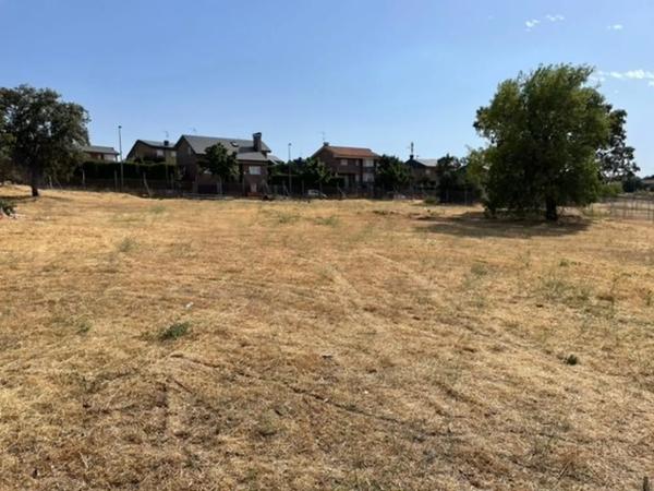 Terreno en calle del Abeto s/n