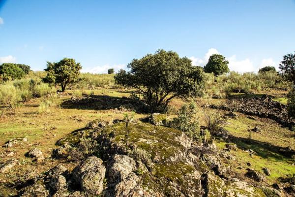Terreno en vereda del Madroñal s/n Sn