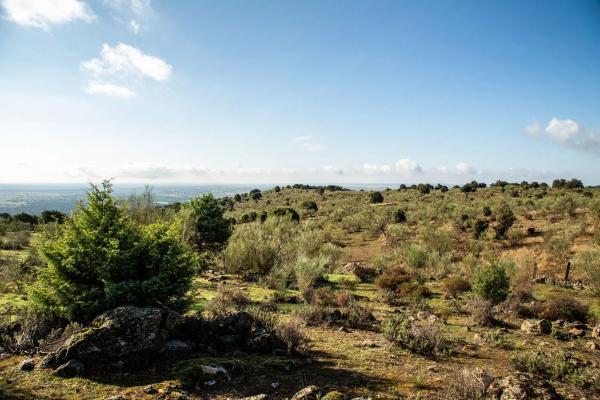 Terreno en vereda del Madroñal s/n Sn
