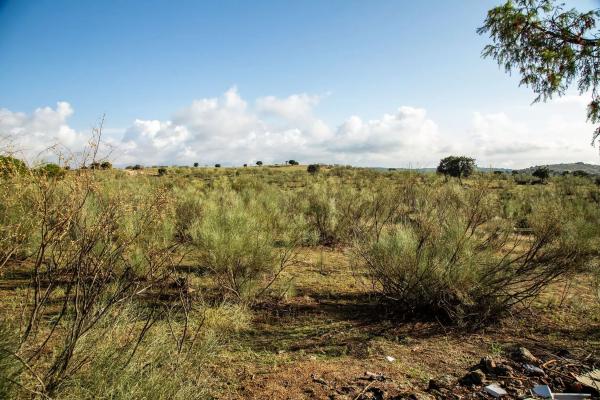 Terreno en vereda del Madroñal s/n Sn