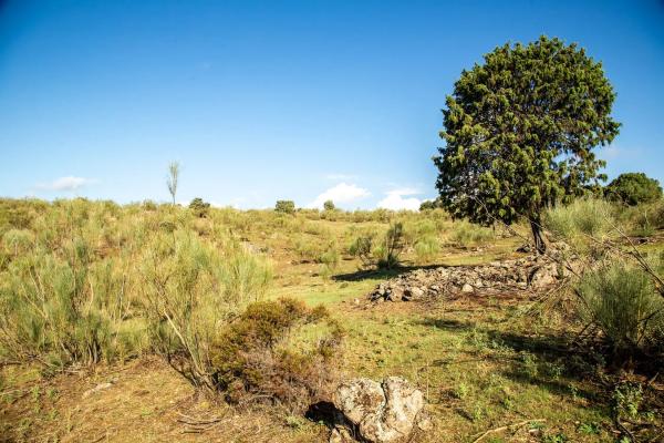 Terreno en vereda del Madroñal s/n Sn