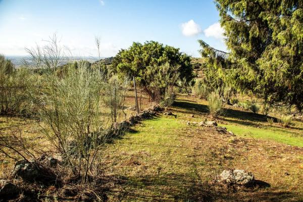 Terreno en vereda del Madroñal s/n Sn