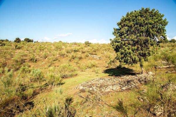 Terreno en vereda del Madroñal s/n Sn