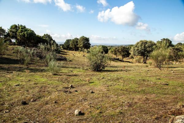 Terreno en vereda del Madroñal s/n Sn