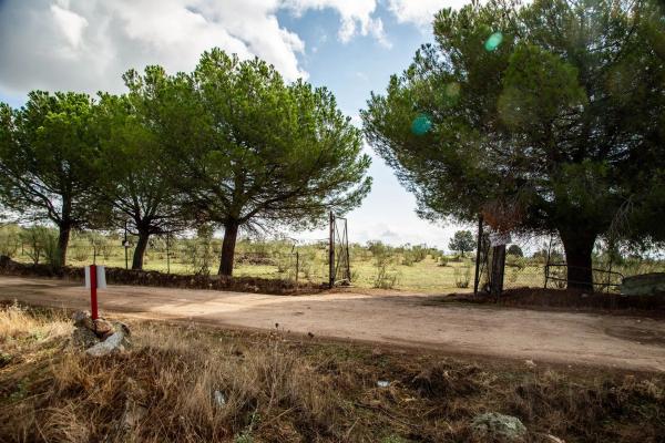 Terreno en vereda del Madroñal s/n Sn
