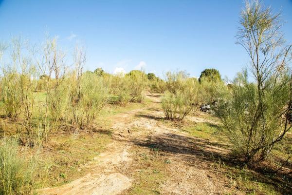 Terreno en vereda del Madroñal s/n Sn