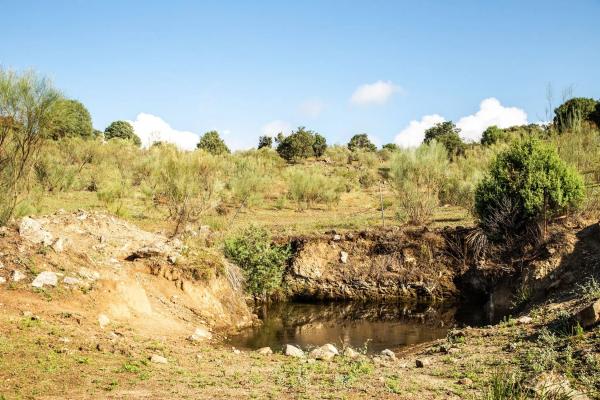 Terreno en vereda del Madroñal s/n Sn