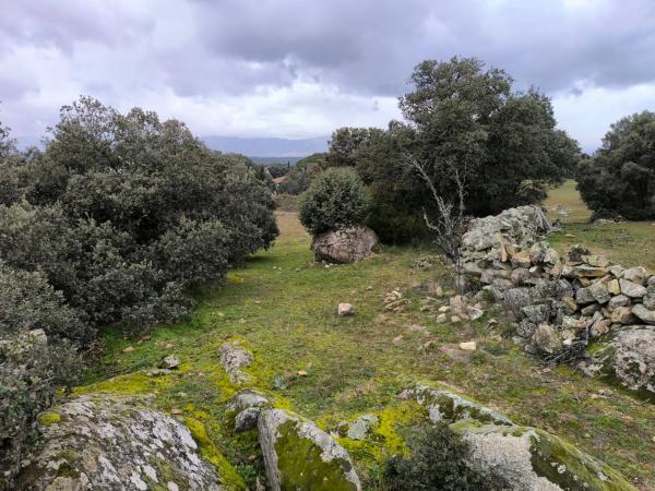 Terreno en calle Viñas Viejas s/n