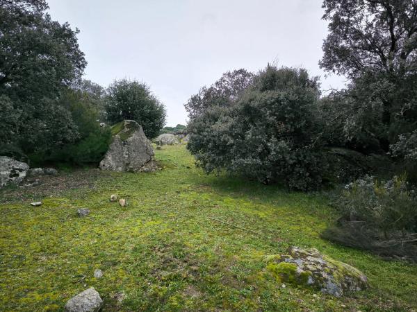 Terreno en calle Viñas Viejas s/n