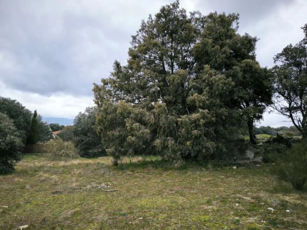 Terreno en calle Viñas Viejas s/n