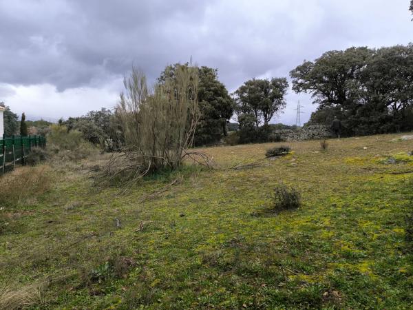 Terreno en calle Viñas Viejas s/n