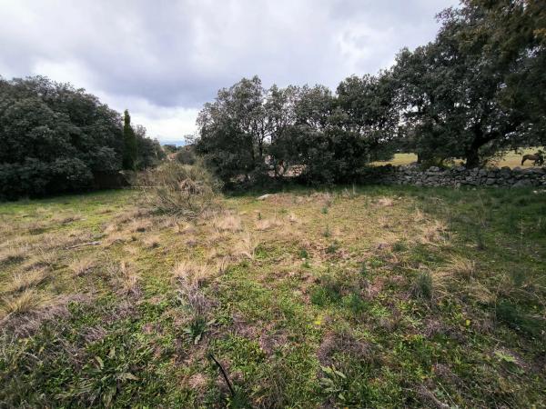 Terreno en calle Viñas Viejas s/n