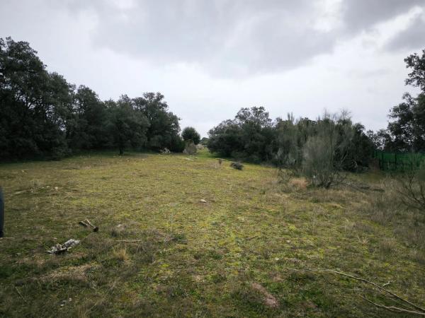Terreno en calle Viñas Viejas s/n