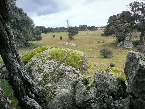 Terreno en calle Viñas Viejas s/n