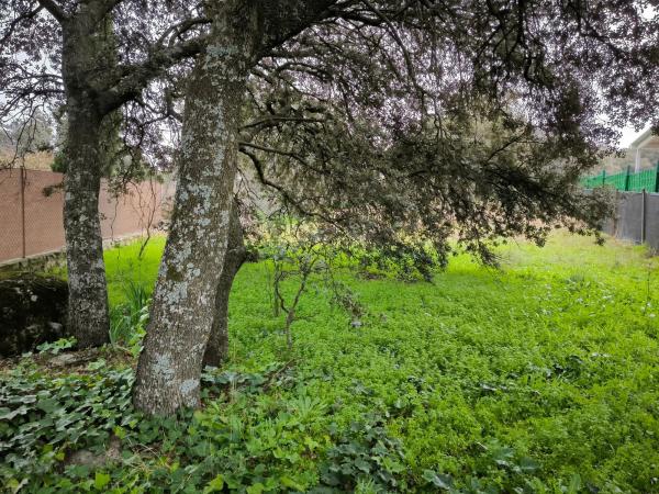 Terreno en calle Viñas Viejas s/n