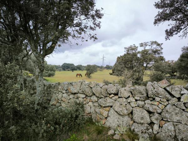 Terreno en calle Viñas Viejas s/n