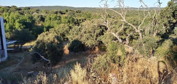Terreno en calle Sarmientos, 9 c