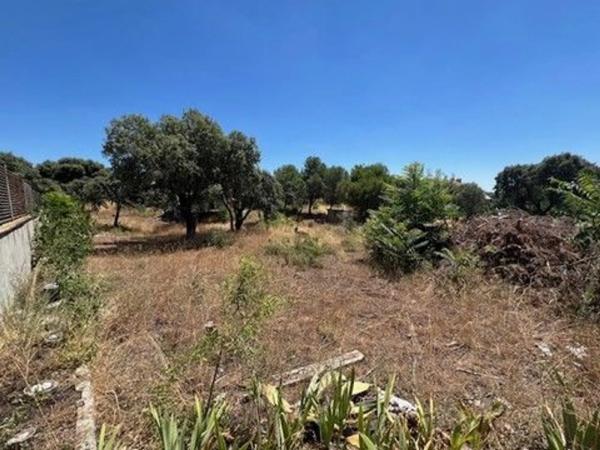 Terreno en calle Atalaya, 313