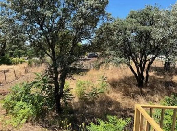 Terreno en Las Zorreras - Monte Encinar