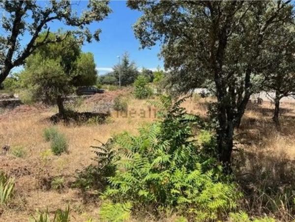 Terreno en Las Zorreras - Monte Encinar