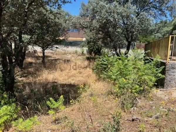 Terreno en Las Zorreras - Monte Encinar