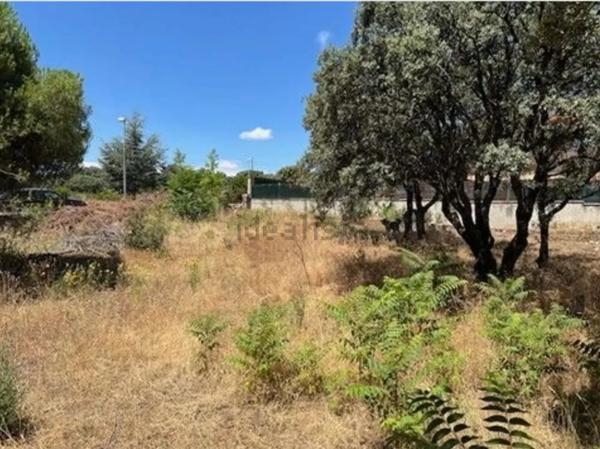 Terreno en Las Zorreras - Monte Encinar