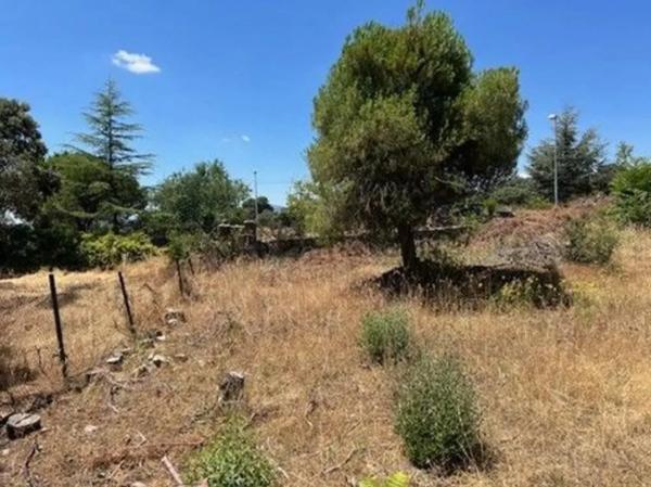 Terreno en Las Zorreras - Monte Encinar