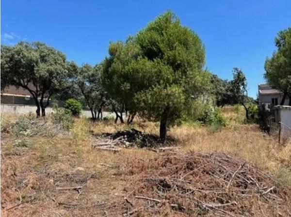 Terreno en Las Zorreras - Monte Encinar