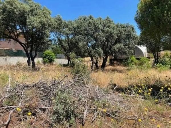 Terreno en Las Zorreras - Monte Encinar