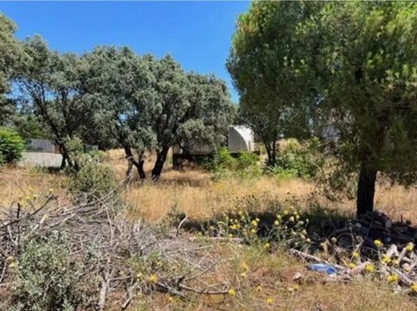 Terreno en Las Zorreras - Monte Encinar