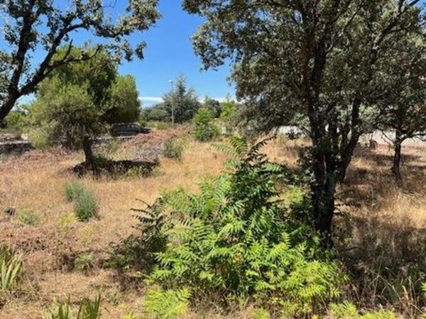 Terreno en calle Atalaya, 313