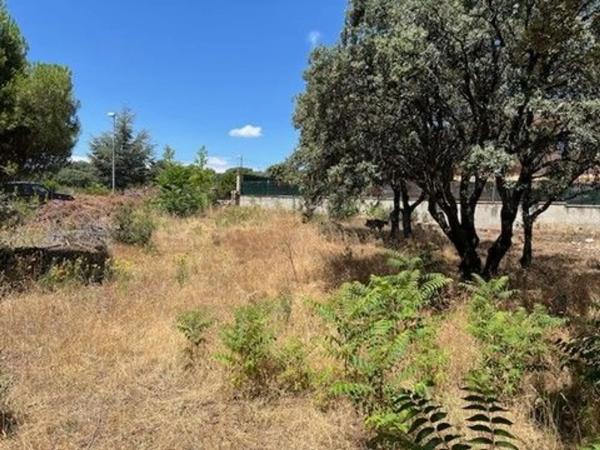 Terreno en calle Atalaya, 313