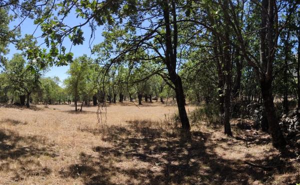 Terreno en calle Atalaya s/n