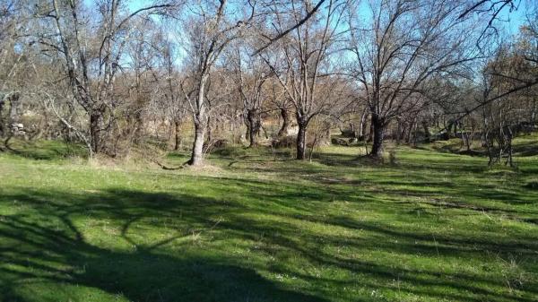 Terreno en calle Atalaya s/n